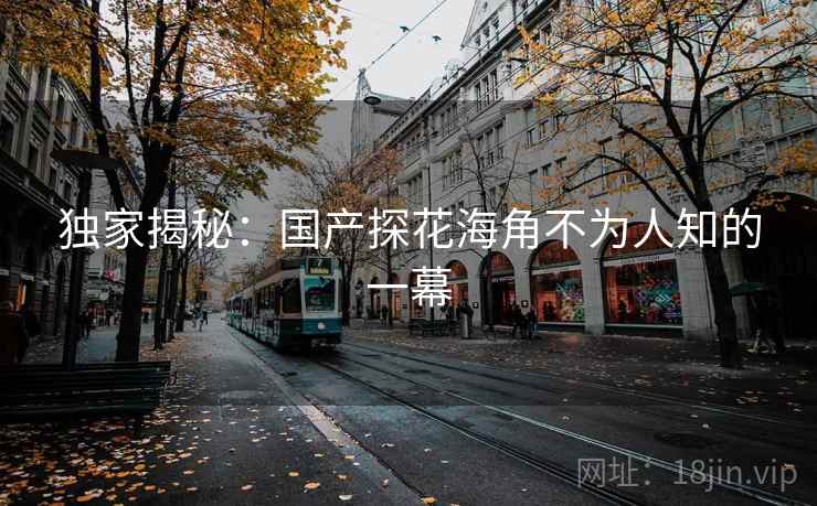独家揭秘：国产探花海角不为人知的一幕  第1张