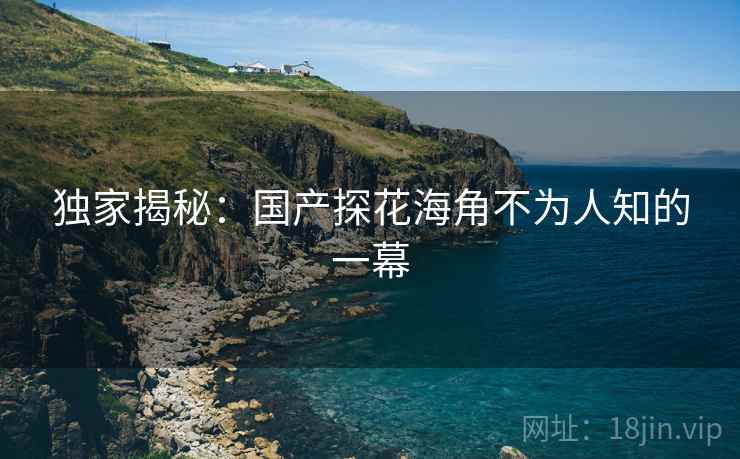 独家揭秘：国产探花海角不为人知的一幕  第2张