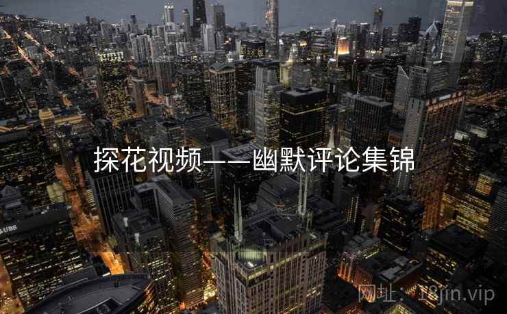 探花视频——幽默评论集锦  第2张