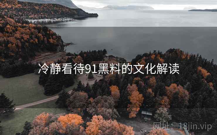 冷静看待91黑料的文化解读  第1张