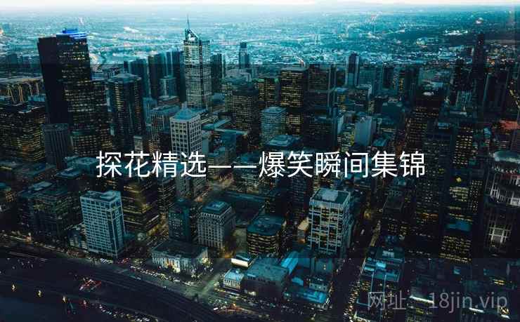 探花精选——爆笑瞬间集锦  第1张