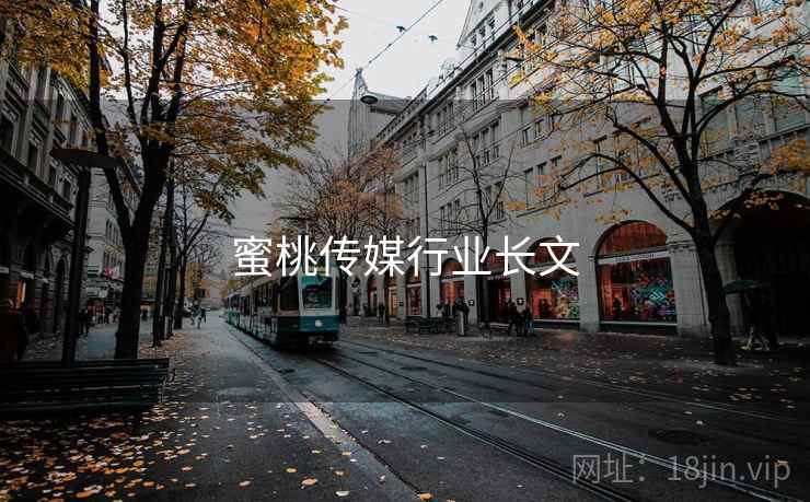 蜜桃传媒行业长文  第2张