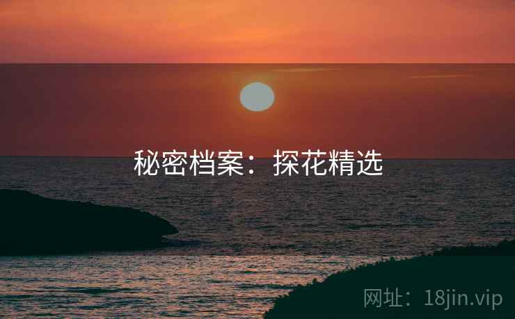 秘密档案：探花精选  第2张