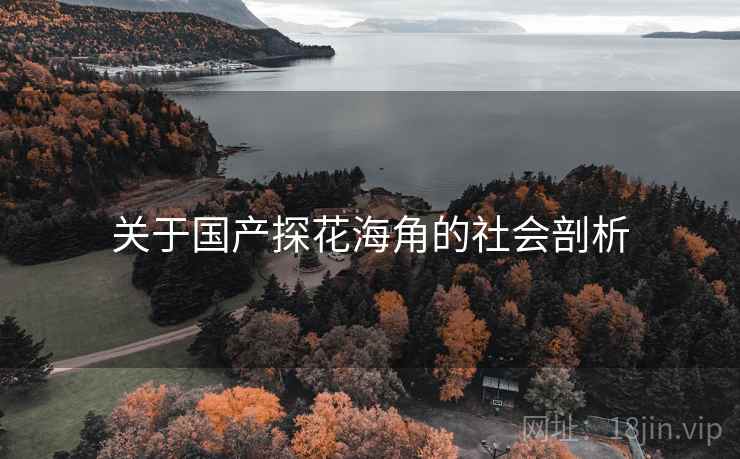 关于国产探花海角的社会剖析  第1张