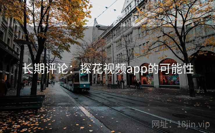 长期评论：探花视频app的可能性  第2张