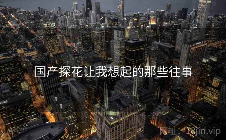 国产探花让我想起的那些往事  第1张