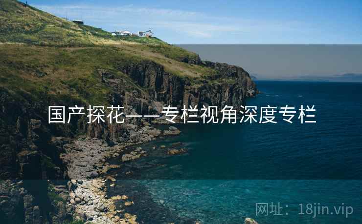 国产探花——专栏视角深度专栏  第2张
