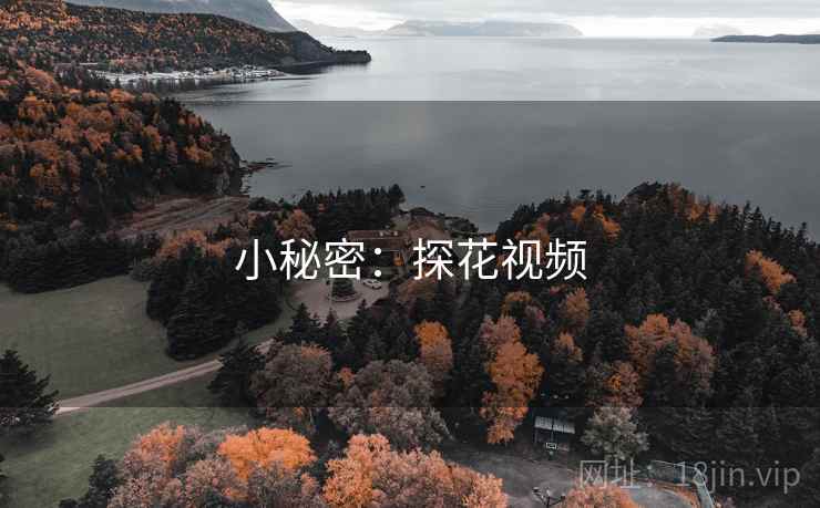 小秘密：探花视频  第1张