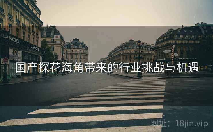 国产探花海角带来的行业挑战与机遇  第1张