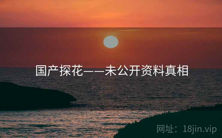 国产探花——未公开资料真相  第1张