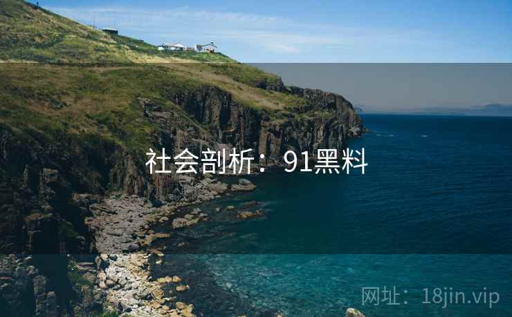 社会剖析：91黑料  第1张