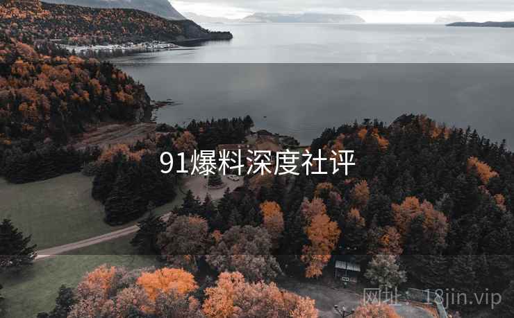 91爆料深度社评  第1张