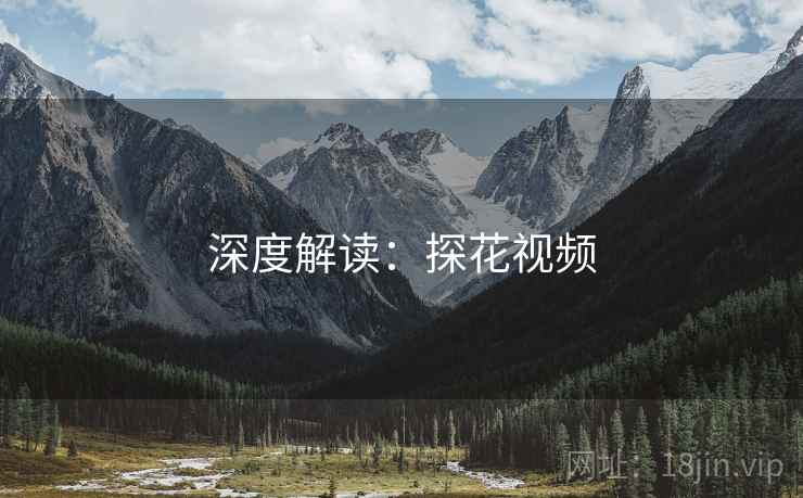 深度解读：探花视频  第2张