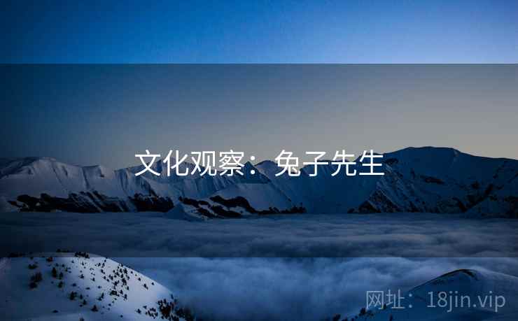 文化观察：兔子先生  第1张
