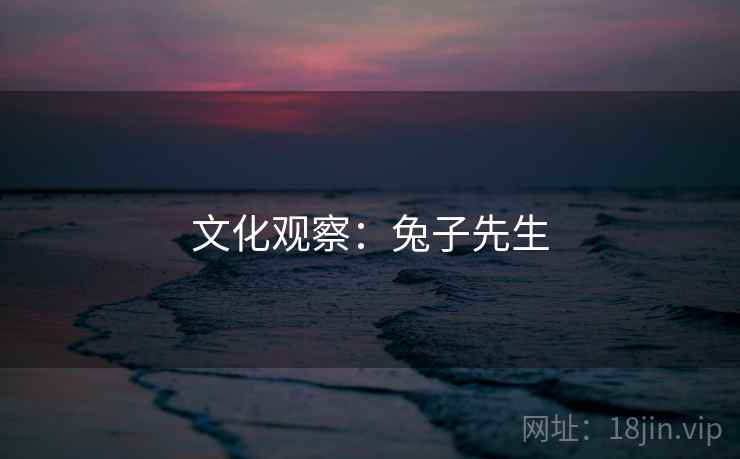 文化观察：兔子先生  第2张