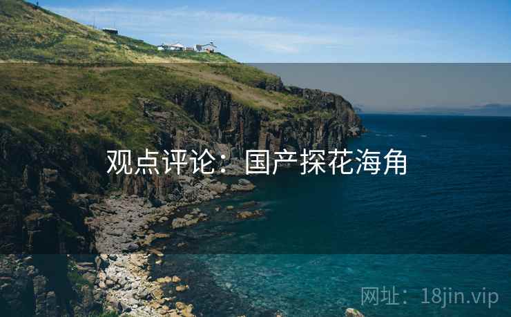 观点评论：国产探花海角  第2张