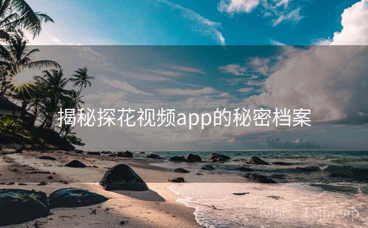 揭秘探花视频app的秘密档案  第1张