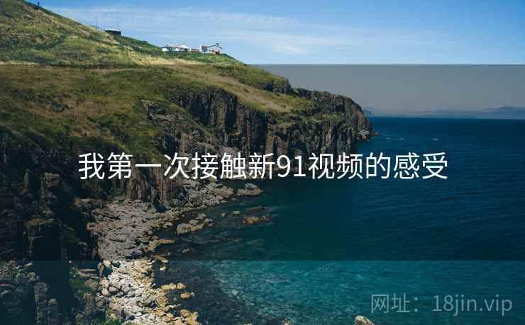 我第一次接触新91视频的感受