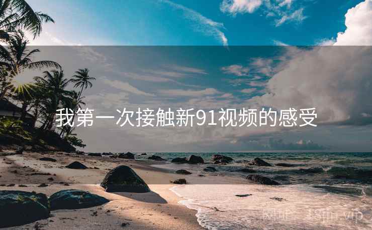 我第一次接触新91视频的感受