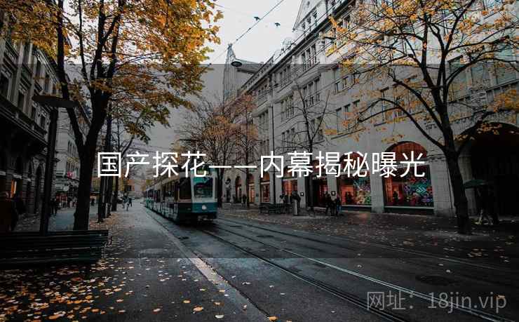 国产探花——内幕揭秘曝光  第2张
