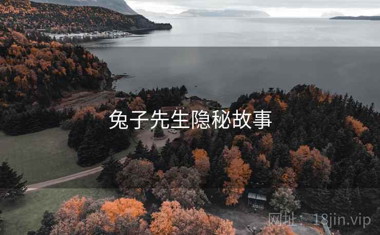 兔子先生隐秘故事  第1张 兔子先生隐秘故事  第1张