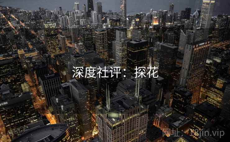 深度社评：探花  第2张