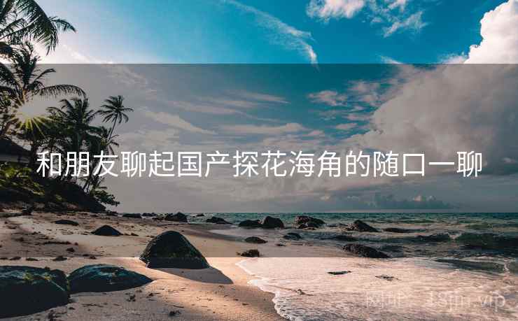 和朋友聊起国产探花海角的随口一聊  第1张 和朋友聊起国产探花海角的随口一聊  第1张